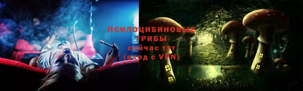 индика Армянск