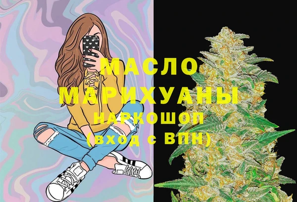 индика Армянск