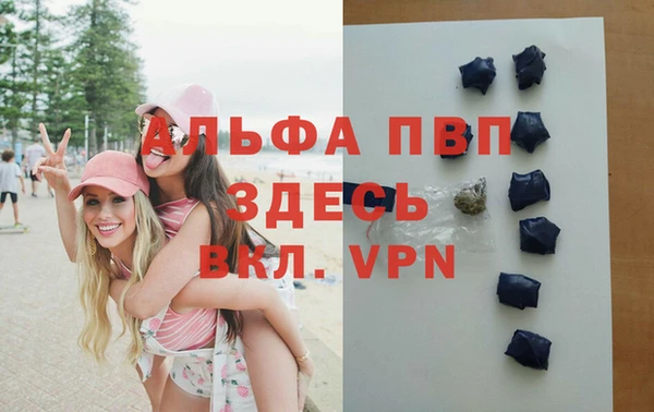 индика Армянск